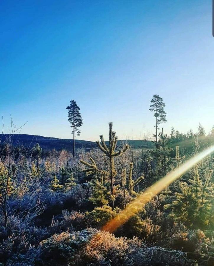 Trevlig Stuga Naera Hovfjaellet Торсби Екстериор снимка